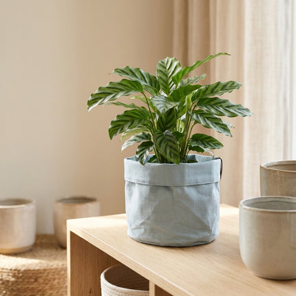 Plantbag Old Blue D15 in een sfeervol interieur
