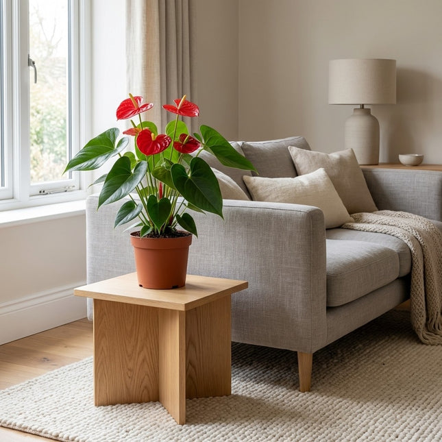 Anthurium Red - Ø17cm - ↕55cm – gestyled in woonkamer interieur