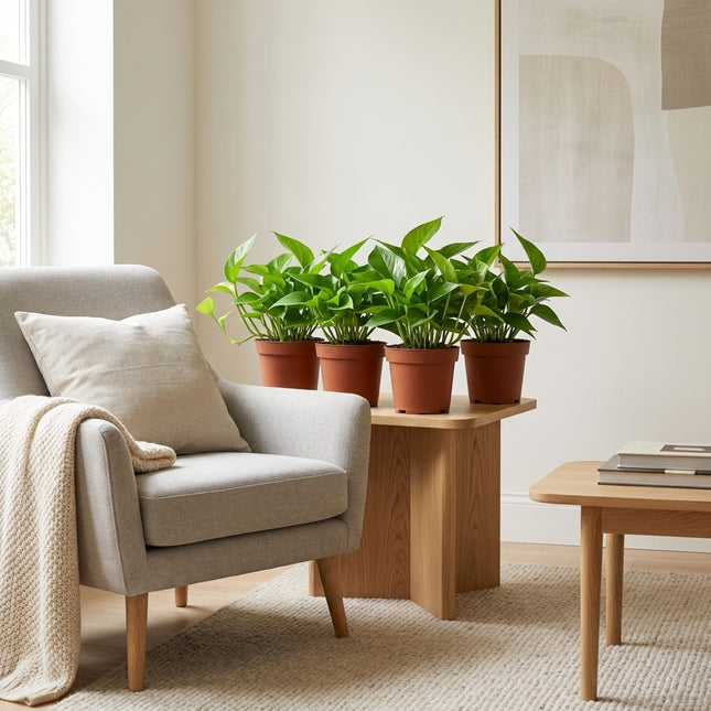Epipremnum Golden Pothos - 4 stuks - Ø12cm - ↕15cm – gestyled in woonkamer interieur