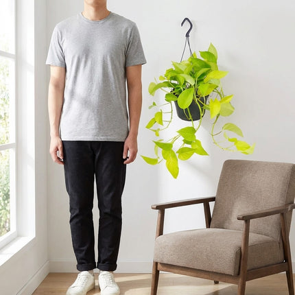 Epipremnum Golden Pothos - Scindapsus - Ø15cm - ↕25cm – formaat indicatie 25cm