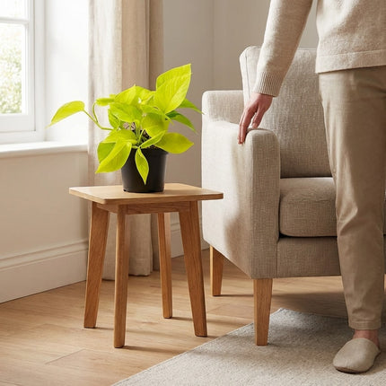 Epipremnum Golden Pothos - Scindapsus - Ø12cm - ↕15cm – formaat indicatie 15cm