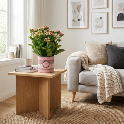 Kalanchoë Pink in P&PURE 'Special Pour Toi' Verpakking – gestyled in woonkamer interieur