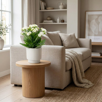 Kalanchoë White in P&PURE Ivy Ceramics Pot – gestyled in woonkamer interieur