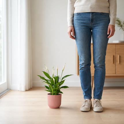 Spathiphyllum Torelli in een roze ELHO Vibes Fold-pot naast een persoon als schaalreferentie
