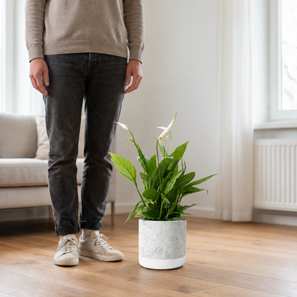Spathiphyllum met witte bloemen in een P&PURE Jade-pot naast een persoon als schaalreferentie