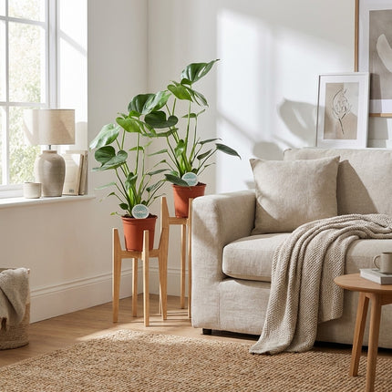 Monstera Deliciosa - 2 stuks - Ø14cm - ↕45cm – gestyled in woonkamer interieur