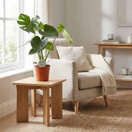 Monstera Deliciosa - Ø17cm - ↕55cm – gestyled in woonkamer interieur