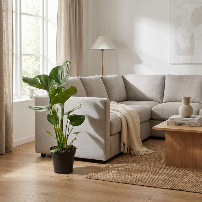 Monstera Deliciosa - Ø17cm - ↕60cm – gestyled in woonkamer interieur