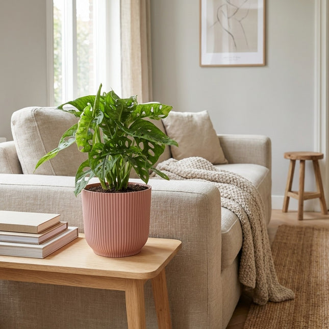 Monstera 'Monkey Leaf' in ELHO Vibes Fold 14cm roze – gestyled in woonkamer interieur