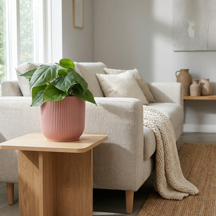 Philodendron Scandens in ELHO Vibes Fold 14cm roze – gestyled in woonkamer interieur