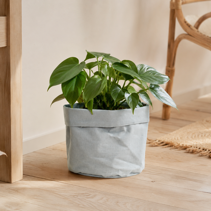 Plantbag Old Blue D12 met groene kamerplant in licht interieur