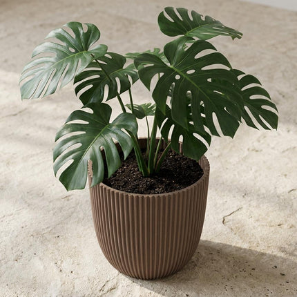 Capi Nature Groove Warm Taupe D17cm
