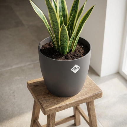 ELHO Brussels Rond 25cm - Antraciet