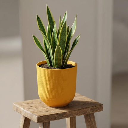 Pot ELHO Jazz Round Amber Yellow - Ø23cm