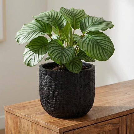 Capi Nature Skin Pot Bol Antraciet D24cm