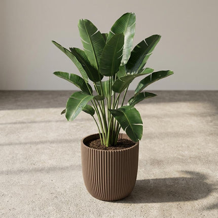 Capi Nature Groove Warm Taupe D17cm