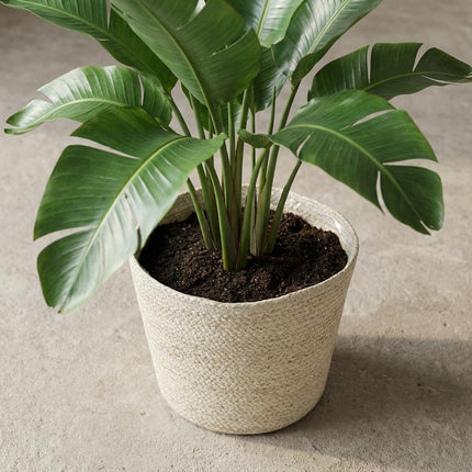 Mand Selin Ø26cm