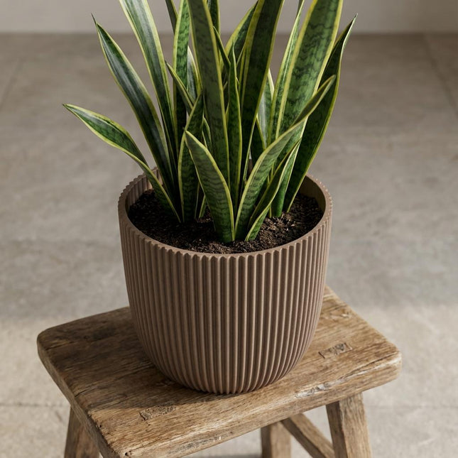 Capi Nature Groove Warm Taupe D22cm
