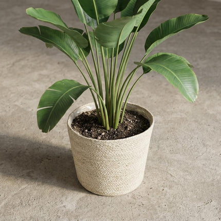 Mand Selin Ø22cm