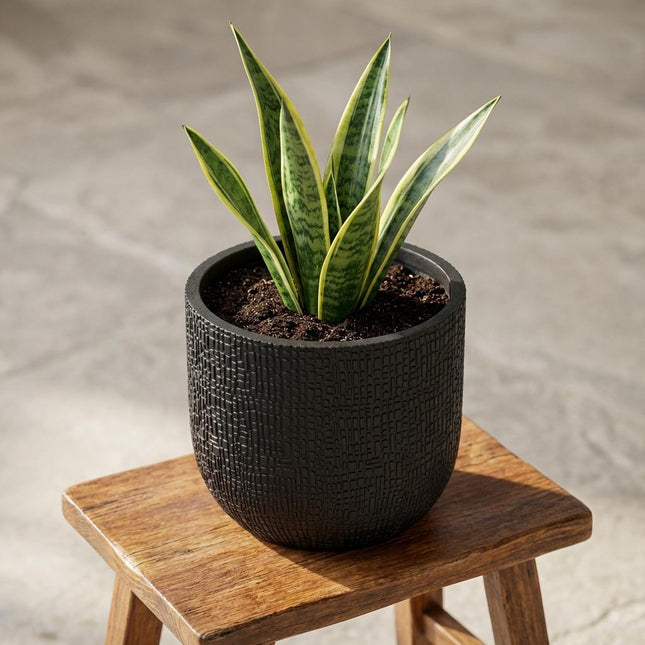 Capi Nature Skin Pot Bol Antraciet D17cm