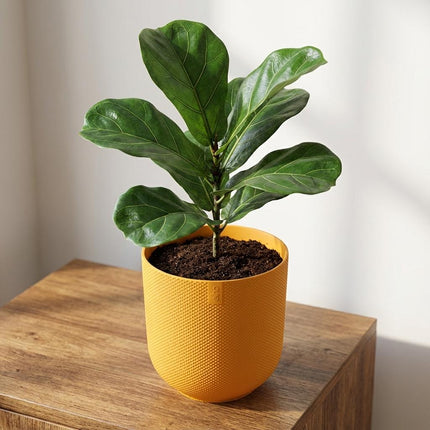 Pot ELHO Jazz Round Amber Yellow - Ø23cm