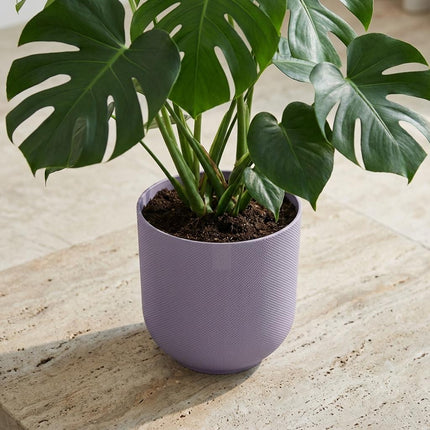 ELHO Jazz Round Lavender Lilac D23