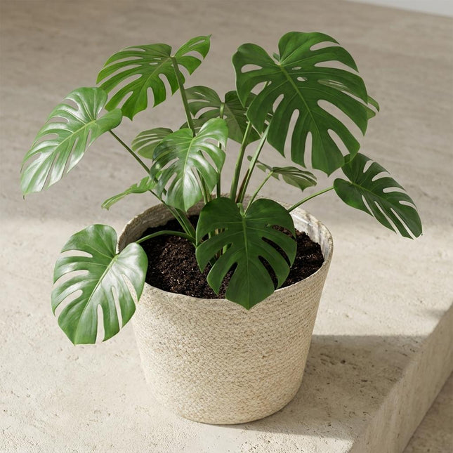 Mand Selin Ø26cm
