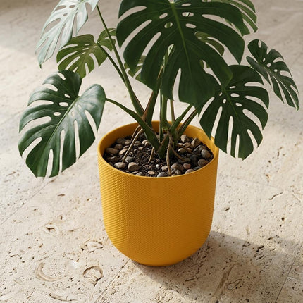 Pot ELHO Jazz Round Amber Yellow - Ø23cm