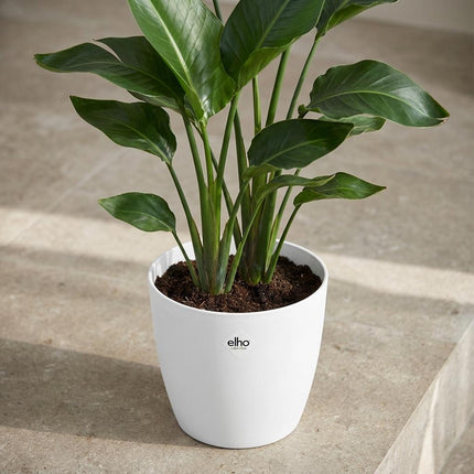 ELHO Brussels Rond 25cm - Wit
