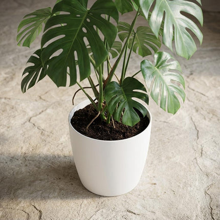 ELHO Brussels Rond 25cm - Wit