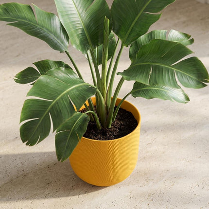 Pot ELHO Jazz Round Amber Yellow - Ø14cm