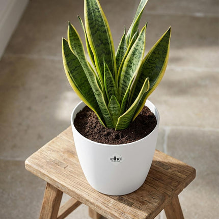 ELHO Brussels Rond 25cm - Wit