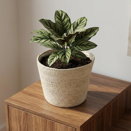 Mand Selin Ø26cm