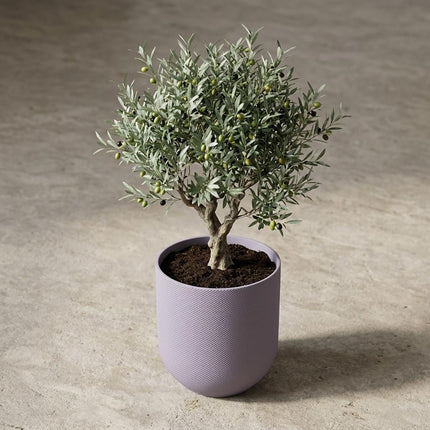 ELHO Jazz Round Lavender Lilac D14