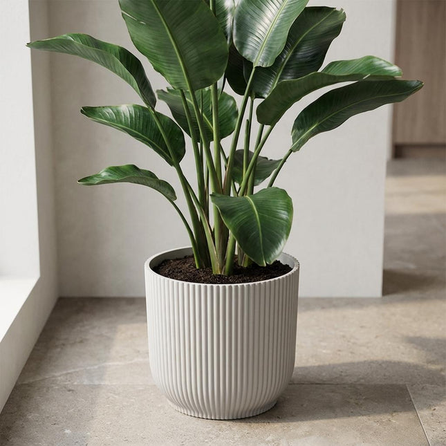 ELHO Vibes Fold 22cm wit